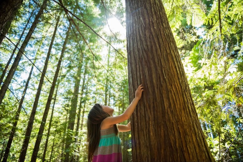 Camps to Nurture a Love of Nature